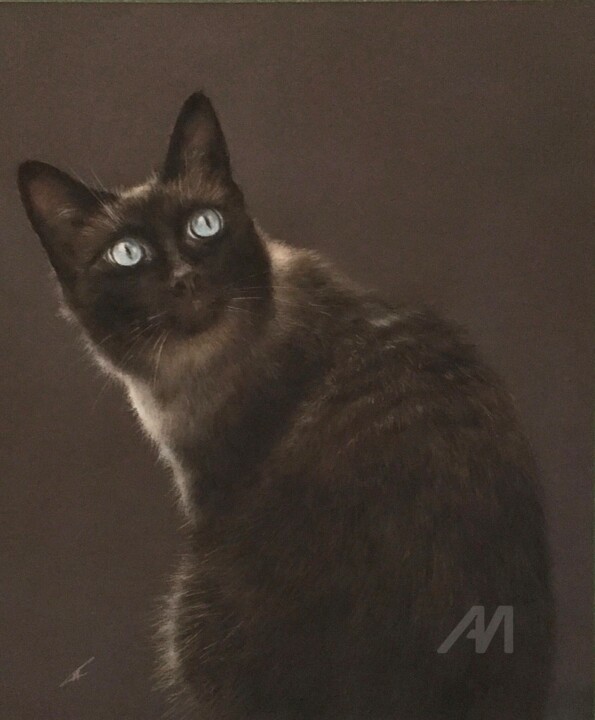 Gato 图画, 12.6x11 in