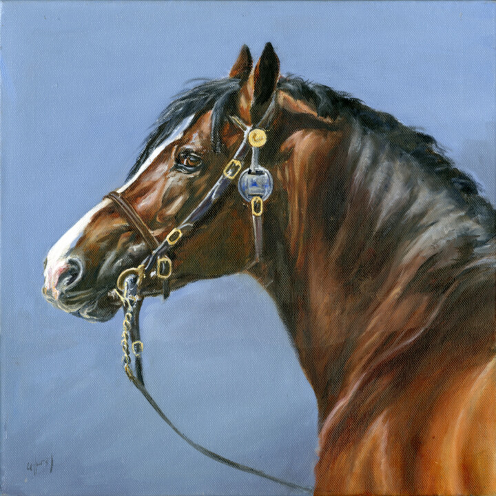 Welsh mountain pony stallion 'The Welshman' 绘画, 15.9x15.9 in