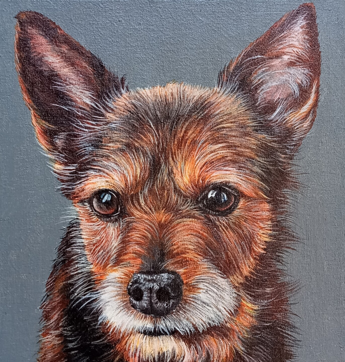Portrait of a pet by photo. Portrait of Dog. 绘画, 7.9x7.9 in