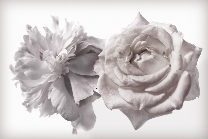 Flowerissimo_17374 Fotografie