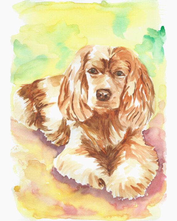 Cocker Spaniel Pittura, 11,7x8,3 in