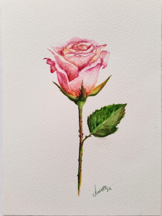 Desenho,  7,9x5,9 in 