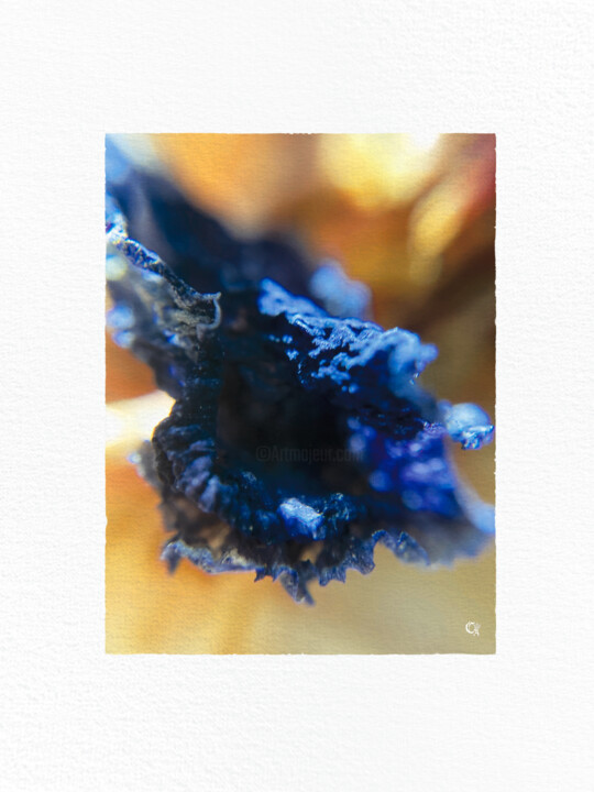Petite chose n°1 Fotoğraf, 15,8x11,8 in