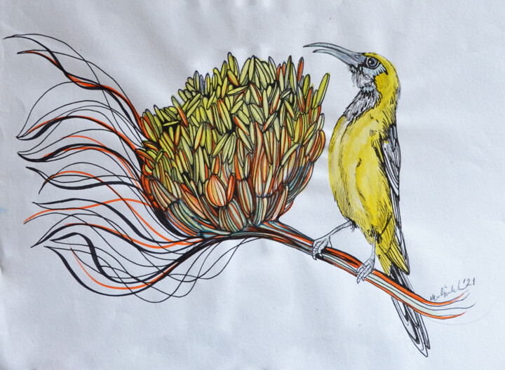 yellow bird 绘画, 7.9x11.8 in