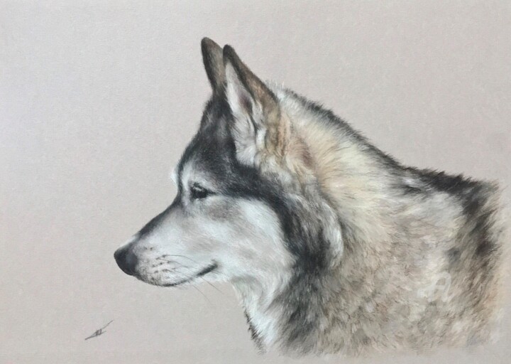 图画,  9.8x13.8 in 