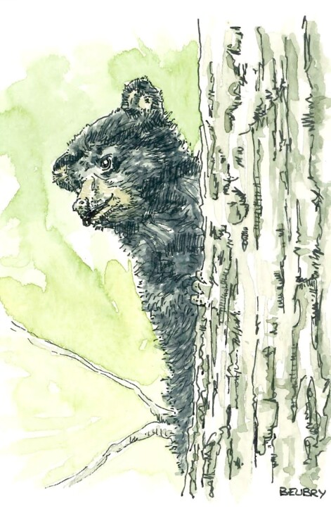 Bear cub 绘画, 5.9x3.9 in