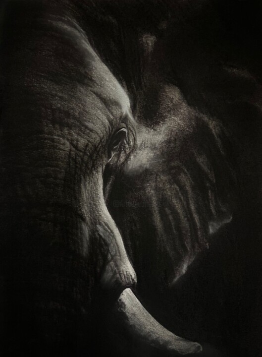 Drawing titled "Œuvre « Éléphant »" by Marine Tassou, Original Artwork, Pastel Mounted on Wood Stretcher frame
