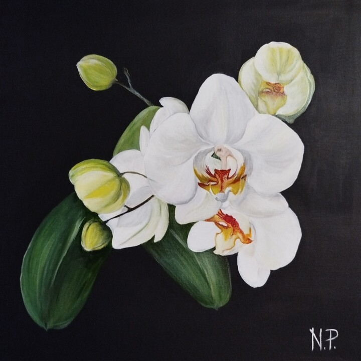 绘画 标题为“Orchids” 由Neringa Petrošiute, 原创艺术品, 丙烯