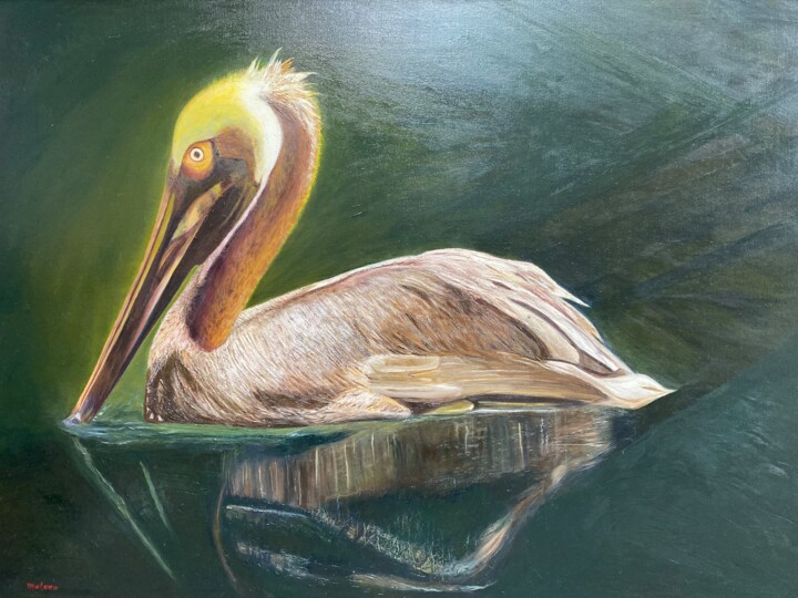 Pellicanus Pittura, 36x48 in