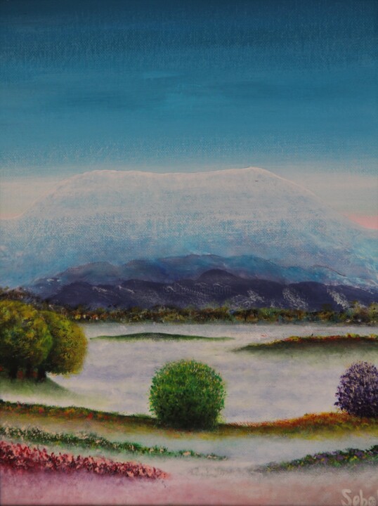 Misty Cavity 绘画, 14.2x11 in