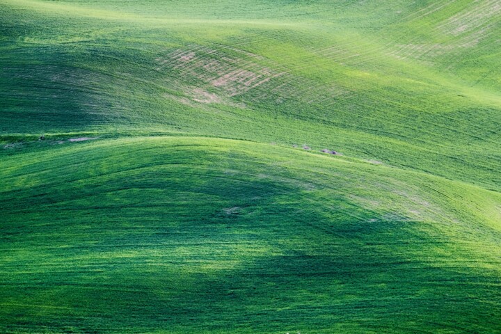 Shaun Greenwald's Green Field Artwork 图画, 590.6x590.6 in
