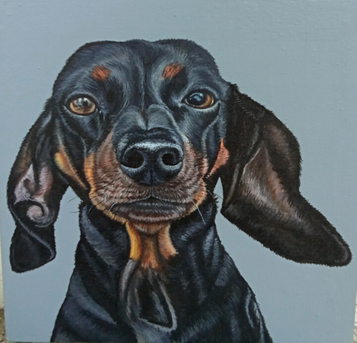 Portrait of a dachshund. Dachshund. Black dog. Portrait by p 绘画, 11.8x11.8 in