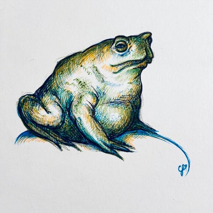 Crapaud 图画, 8.3x5.8 in