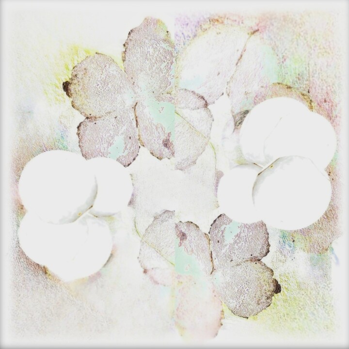 fleur de coton 数字艺术