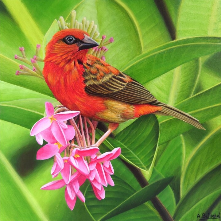 Painting titled "Foudi rouge" by Aline Belliard, Original Artwork, Acrylic Mounted on Wood Stretcher frame
