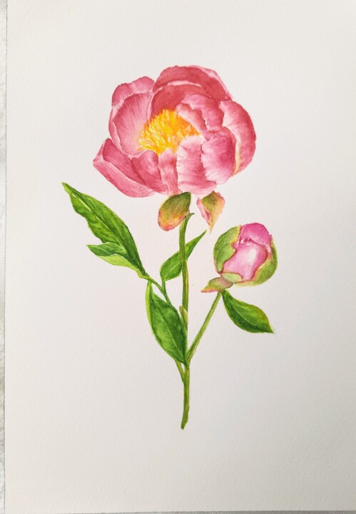 November birth flower pink Peony 绘画, 9.1x5.9 in