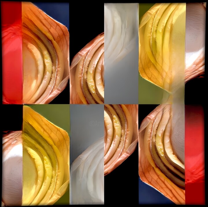 Onion 摄影
