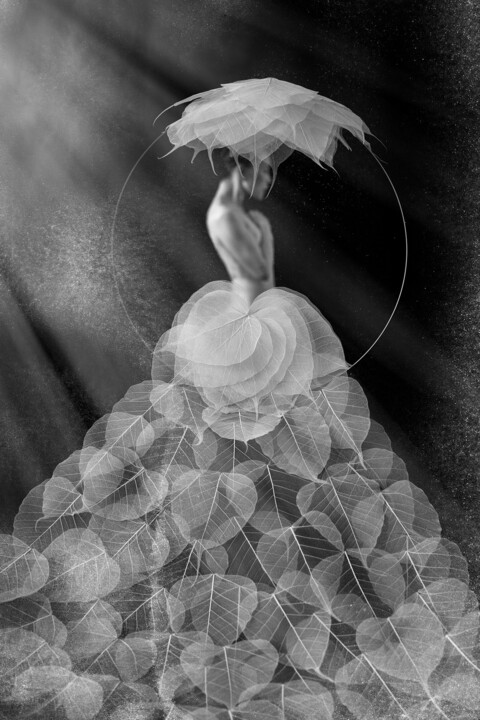 A Journey to Awakening #1 摄影, 35.4x23.6 in