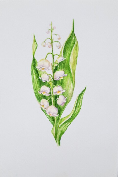 Pittura,  9,1x6,1 in 