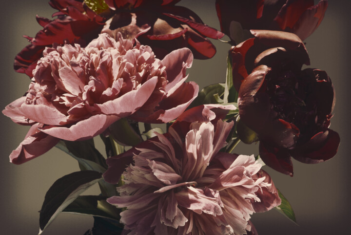 Flowerissimo_11545 摄影