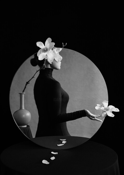 Magnolia in Bloom 사진, 27.6x19.7 in