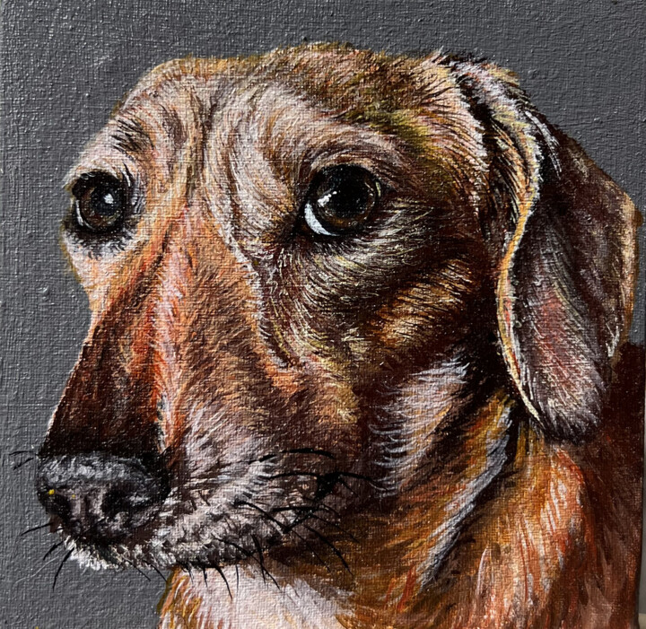 Portrait of a red dachshund. Portrait of a dachshund 绘画, 3.9x3.9 in