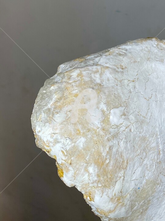 其他意见 7