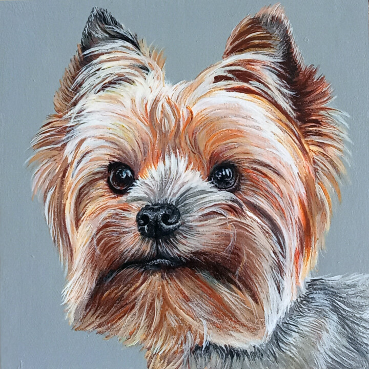Portrait of Yorkshire Terrier. Portrait by photo. 绘画, 7.9x7.9 in