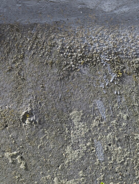 Abstract art “Texture 11” 摄影