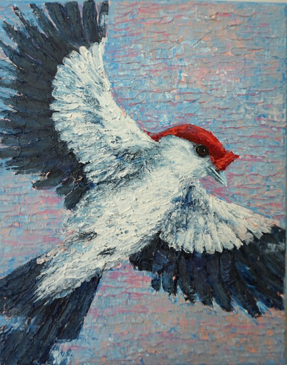 Araripe manakin. Little Soldier bird 绘画, 11.8x9.5 in