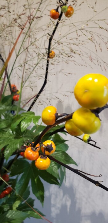 persimmon 摄影