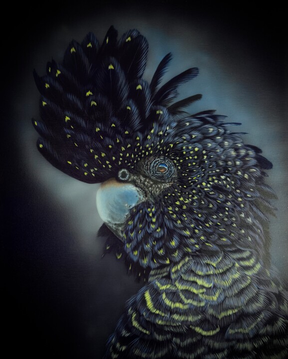 Red black taild cockatoo 绘画, 19.7x15.8 in