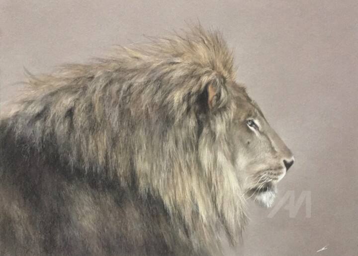 绘画,  11.4x15.8 in 