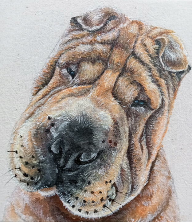 a portrait of a shar-pei. Portrait by photo. 绘画, 7.9x7.9 in