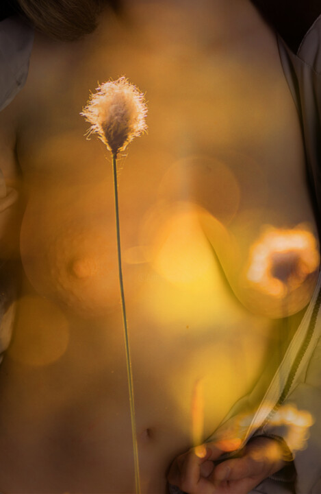 Golden Harmony: Nature and Body 摄影
