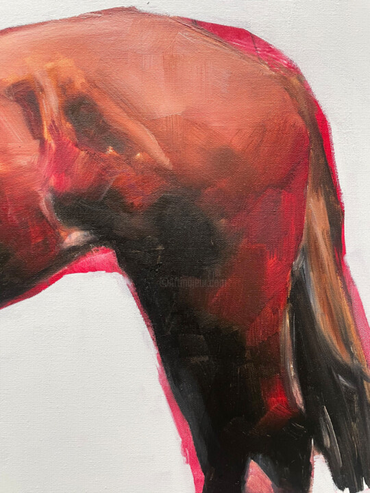 Dodatkowe odsłony 4