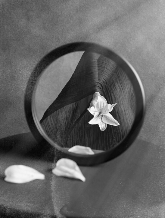 Photographie intitulée "Rendering Light thr…" par Xidong Luo, Œuvre d'art originale, Photographie numérique