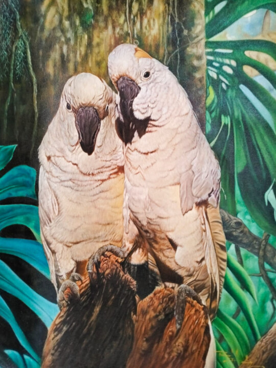 绘画 标题为“Cockatoo Companions…” 由J. Woko, 原创艺术品, 丙烯