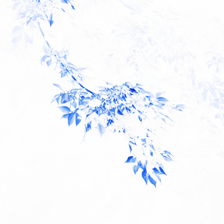 CXX 摄影