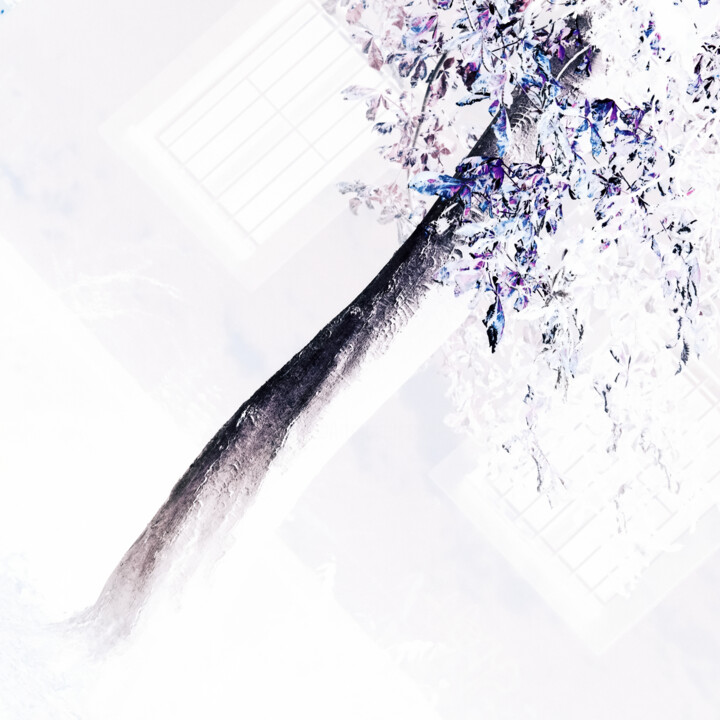 CXXII 摄影