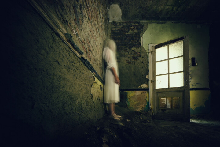 Fantômatique II Fotoğraf, 23,6x35,4 in