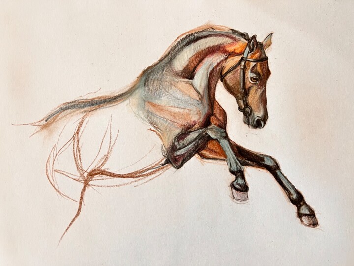 Tekening,  11,7x16,5 in 