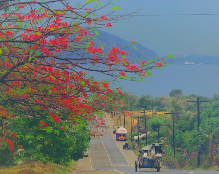 SOUTH BATAAN 摄影