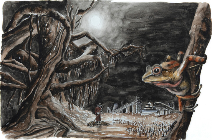Frog 绘画, 13.4x19.7 in