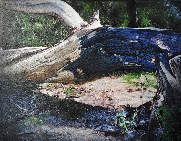 Charred tree Brienenoord Island 绘画, 55.1x70.9 in