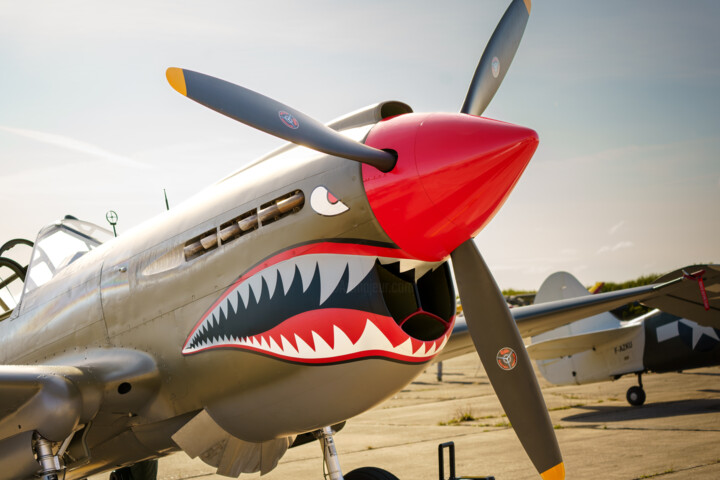 Curtiss P-40 Warhawk 摄影