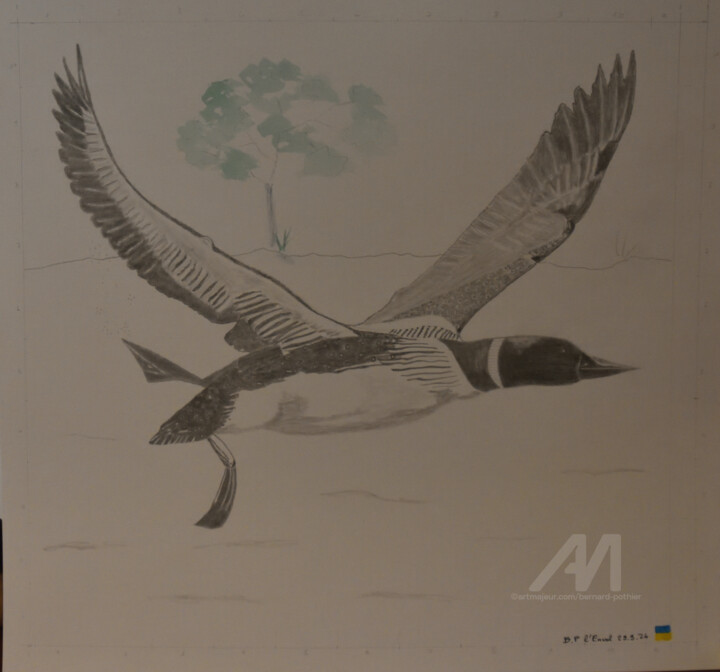 L'Envol au crayon 图画, 20.5x19.7 in