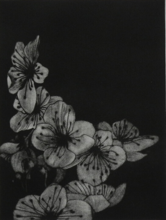 SÉRIE PRUNUS JAPONICA PLANCHE 3 VERSION NOIR ET BLANC 印花与版画, 11.8x9.5 in