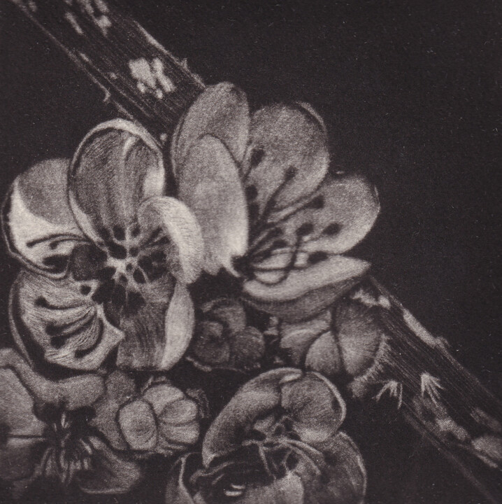 LE POIRIER: DEBUT DU PRINTEMPS 印花与版画, 7.9x7.9 in