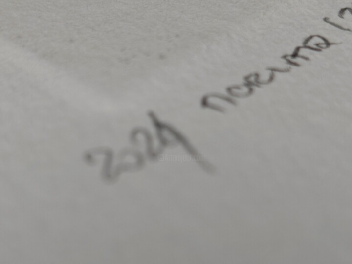 Surface ou texture de l'œuvre
